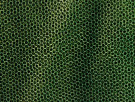 Moskytiéra MFH petite verte 0,63x2x8 m