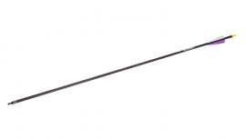 Flèche Carbon Wraith 30"