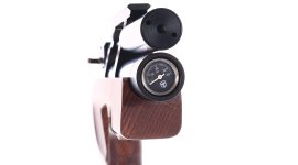 Carabine à air comprimé Taipan Veteran Standart 5,5mm Beech