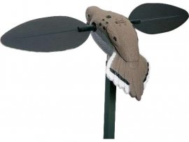 Appelant MOJO Voodoo Dove - Voodoo Holubice