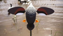Balabán MOJO Gadwall - eend Kopřivka