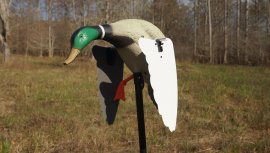 Balabán MOJO Super Mallard – Wilde Eend