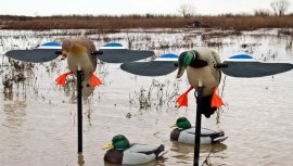 Balabán MOJO Mallard Hen - Wilde Eend