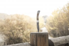Couteau pliant Winchester Lasso