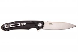 Couteau pliant Ganzo Firebird FH21-BK