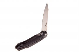 Couteau pliant Ganzo Firebird FH21-BK