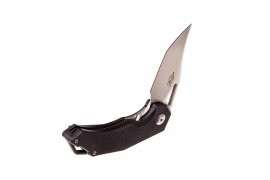 Couteau pliant Ganzo Firebird FH61-BK