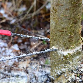 Zakzaag Nordic Pocket Saw groen