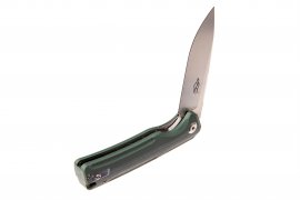 Couteau pliant Ganzo Firebird FH91 vert