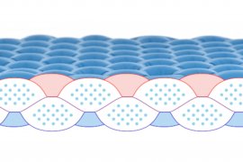 Matelas de sol Pinguin Wave L Vert