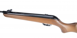 Carabine à air comprimé Gamo Big Cat Hunter 4,5mm - 19J