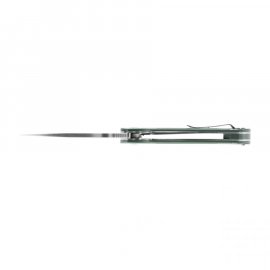 Couteau pliant Ganzo Firebird FH921 vert