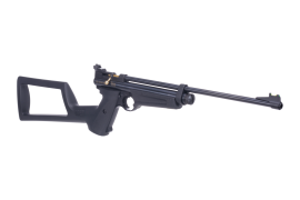 Carabine à air Crosman 2250 5,5mm