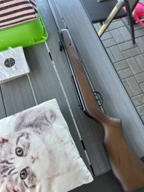 Avis : Carabine à air comprimé Gamo Hunter 440 4,5mm - 24J - 2