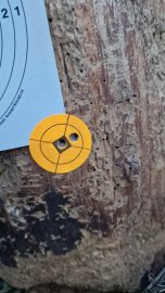 Beoordelingen: H&N Heavy Slug 6.35mm/.250 2.72g/42gr - 1