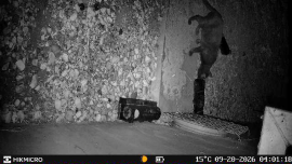 Beoordelingen: Wildcamera HIKMICRO T16 - 2