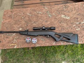 Avis : Carabine à air comprimé Gamo Whisper IGT 4,5mm - 1