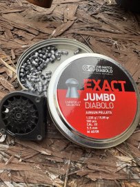 Avis : Diabolo JSB Exact Jumbo 5,52mm 250pcs - 1