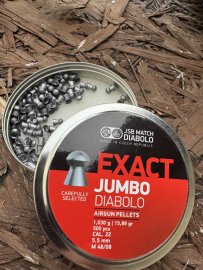 Avis : Diabolo JSB Exact Jumbo 5,52mm 250pcs - 2