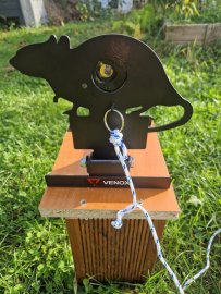 Beoordelingen: Wedstrijdschietschijf Venox rat - 1