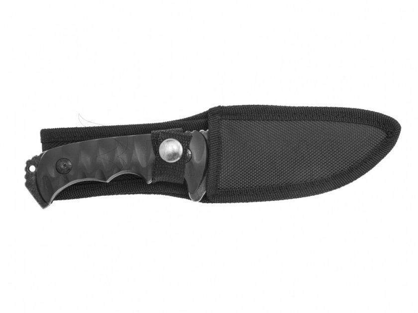 Mes Kandar N151