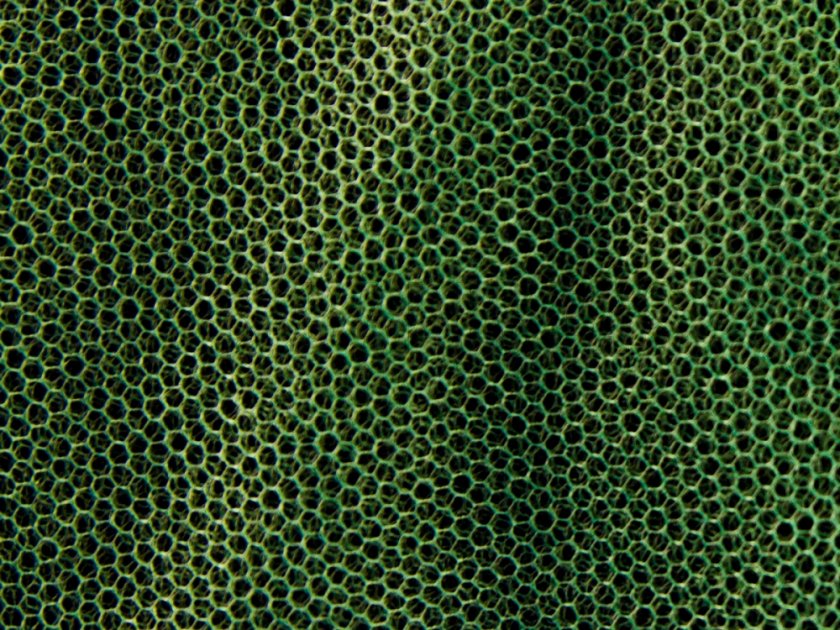 Moskytiéra MFH groot groen 0,63x2,5x12,5 m