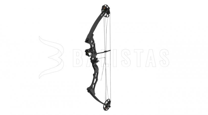 Arc Poe Lang Predator II noir 45-65lbs