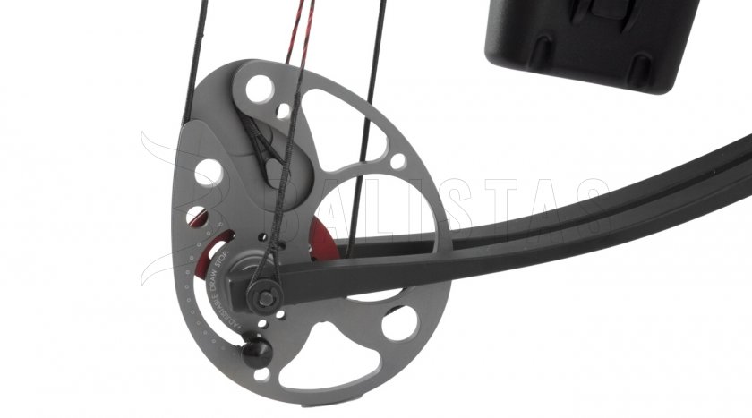 Arc Poe Lang Assassin 20-70lbs