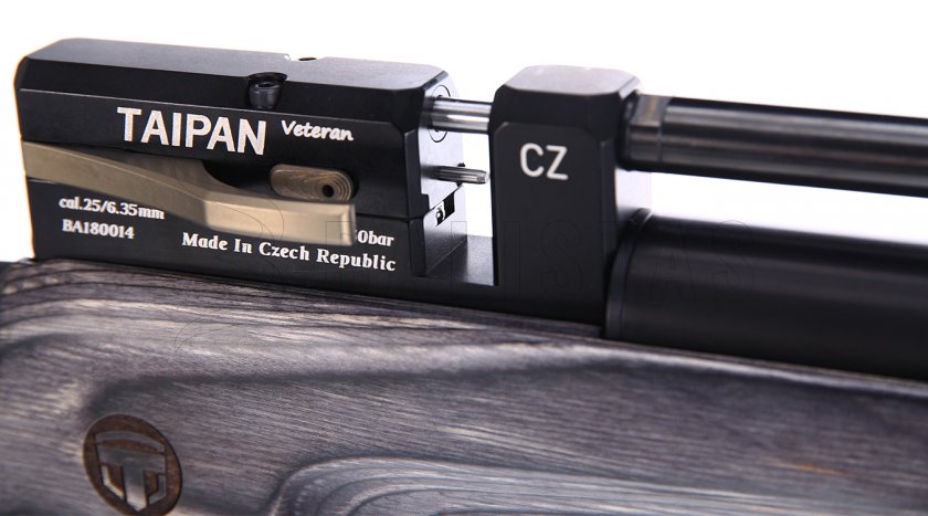 Carabine à air comprimé Taipan Veteran Standart 5,5mm Laminate