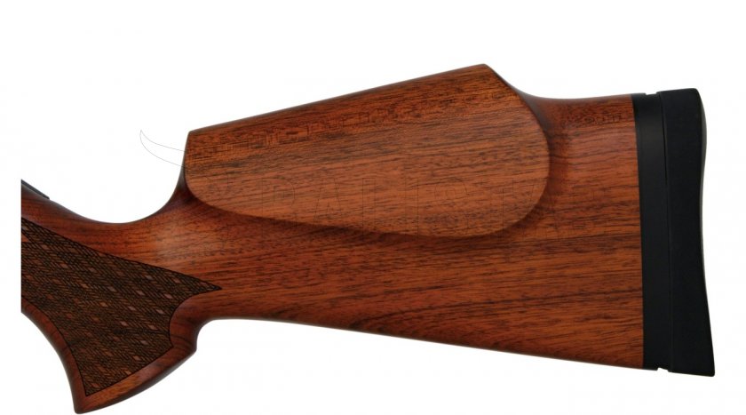 Carabine à air comprimé Evanix Hunting Master AR6 5,5mm