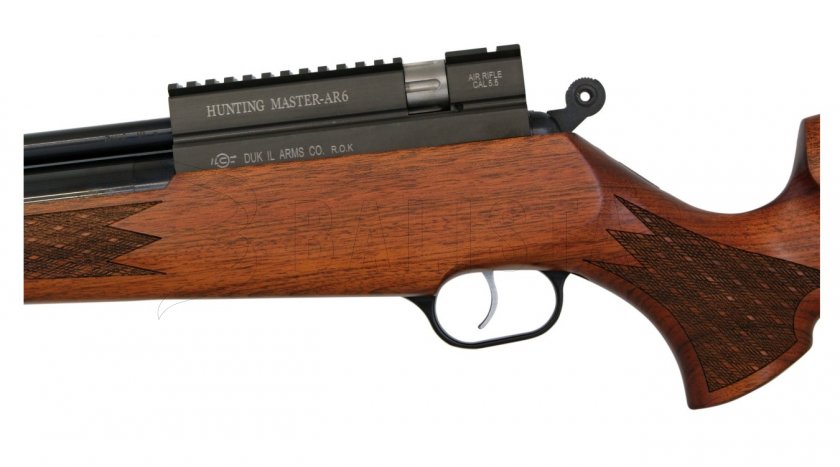 Carabine à air comprimé Evanix Hunting Master AR6 5,5mm