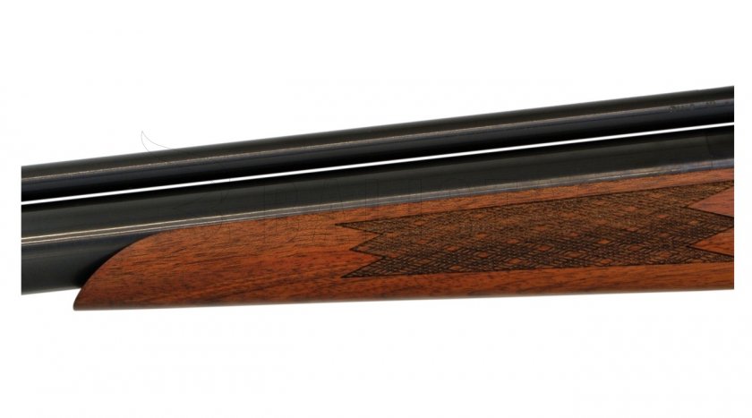 Carabine à air comprimé Evanix Hunting Master AR6 5,5mm