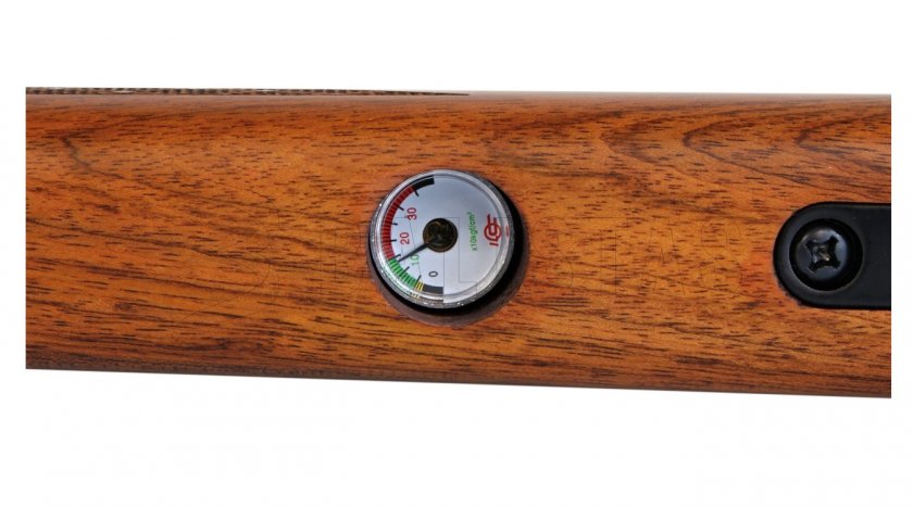 Carabine à air comprimé Evanix Hunting Master AR6 5,5mm