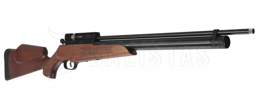Carabine à air comprimé Evanix Hunting Master AR6 5,5mm