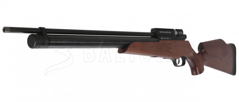 Carabine à air comprimé Evanix Hunting Master AR6 5,5mm