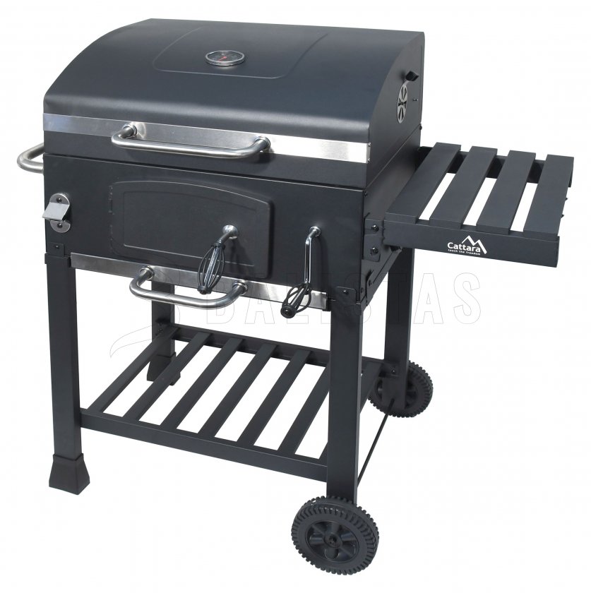 Houtskoolbarbecue Royal gietijzeren rooster