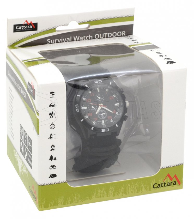 Outdoor horloge met thermometer