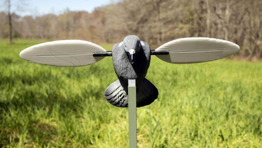 Balabán MOJO Pigeon - Pigeon