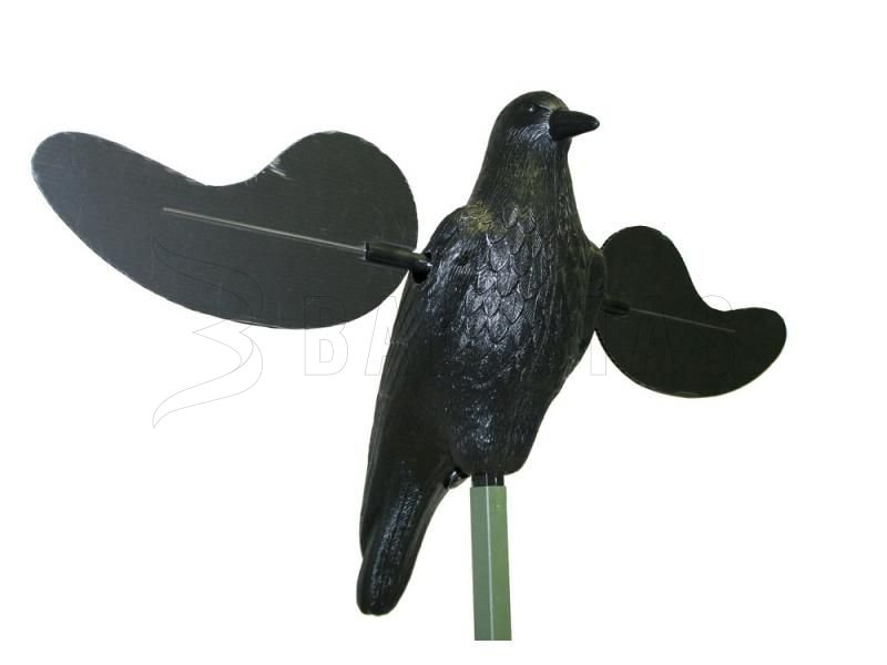 Balabán MOJO Crow - Corneille