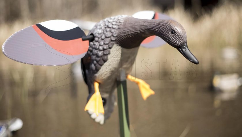 Balabán MOJO Gadwall - eend Kopřivka