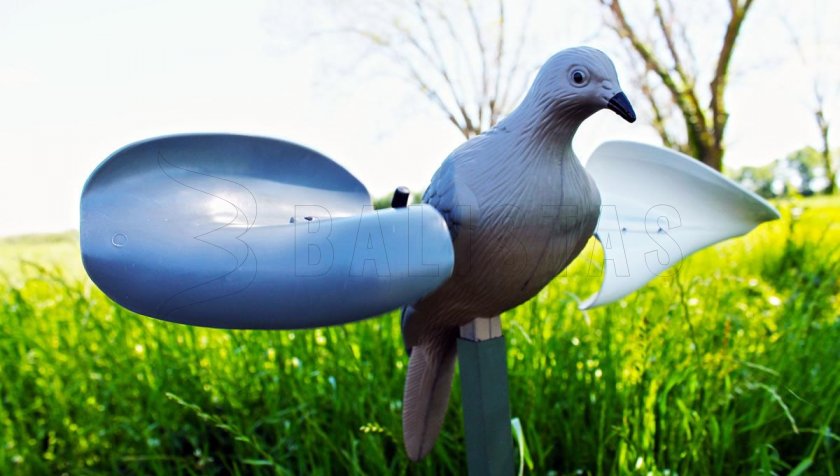 Balabán MOJO Wind Dove - Wind Holubice