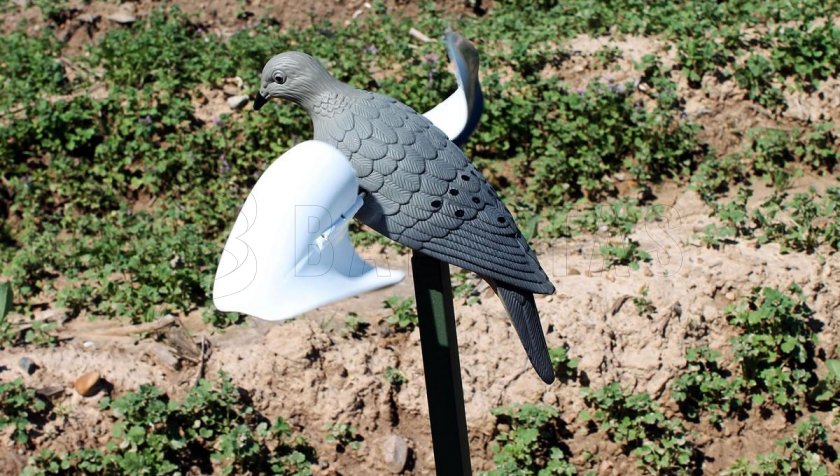 Balabán MOJO Wind Dove - Wind Holubice
