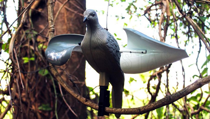 Balabán MOJO Wind Dove - Wind Holubice