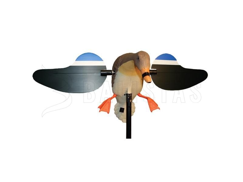 Balabán MOJO Mallard Hen - Canard colvert sauvage avec télécommande
