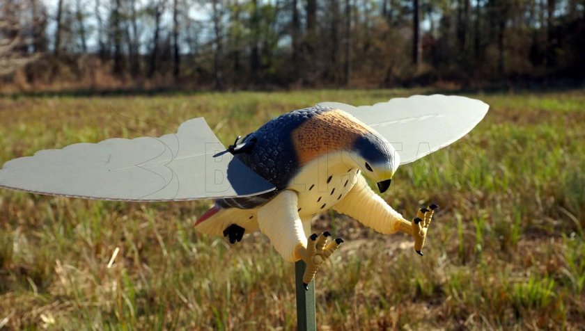 Balabán MOJO Hawk - Havik