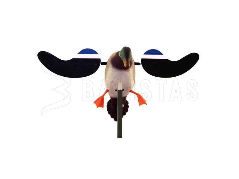Balabán MOJO Baby Drake - Baby canard mâle