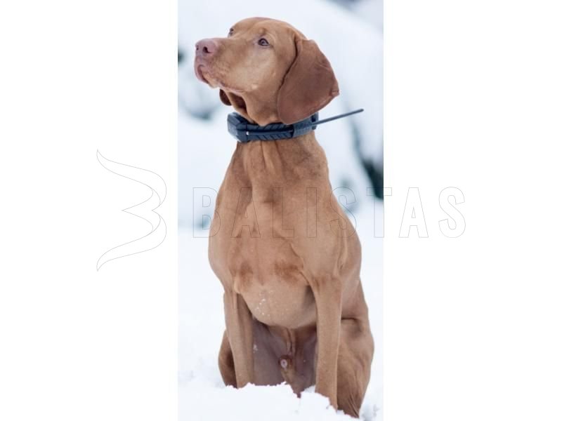 GPS lokátor Dogtrace DOG GPS X22 voor 2 honden – Oranžový