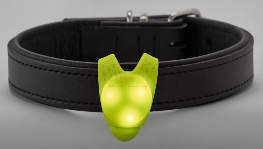 Porte-clés LED lumineux pour collier Hunter