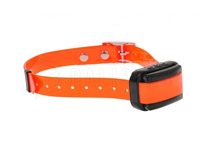 Collier Dogtrace d-control professional 2000 mini orange