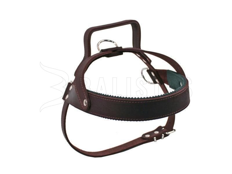 Postroj met handvat Dogtrace leer 1D middelgrote rassen